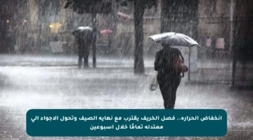 انخفاض الحرارة.. فصل الخريف يقترب مع نهاية الصيف وتحول الأجواء إلى معتدلة تمامًا خلال أسبوعين